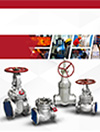 AIV Master Valve Distributor for YVI - Gate Globe Check - Gate Globe Check 