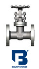 AIV Master Valve Distributor - Bonney Forge