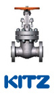 AIV Master Valve Distributor - Kitz USA
