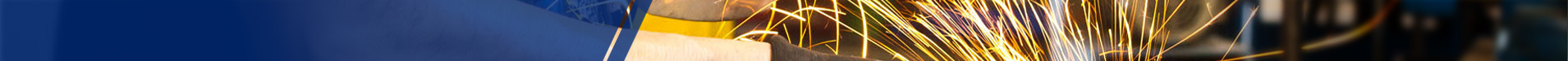 AIV - Master Valve Distributor Services