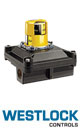 AIV Master Valve Distributor - Westlock